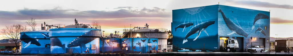 The City of Livermore is currently accepting applications for the position of Water Distribution Supervising Operator. This recruitment will be open until filled. Therefore, apply early as recruitment may close at any time. For additional information about the position, please refer to the